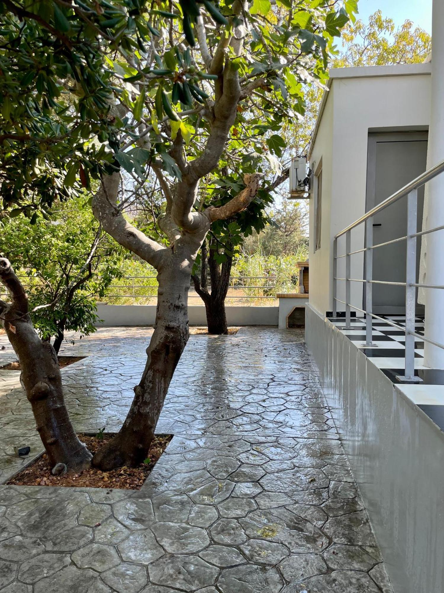 Architect'S Summer House By The Beach Pórto Ráfti Екстериор снимка